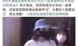 刘大锤最新爆料杨洋视频,杨洋最新视频幕后揭秘